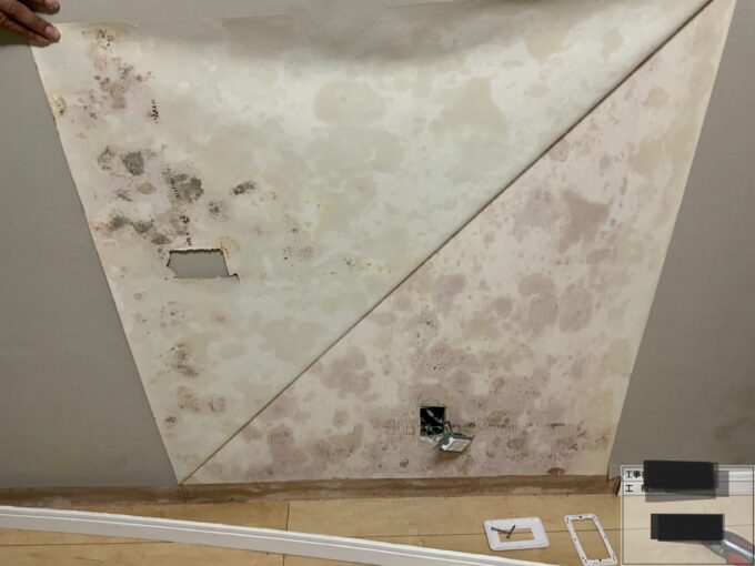 セルロースファイバー壁のカビ