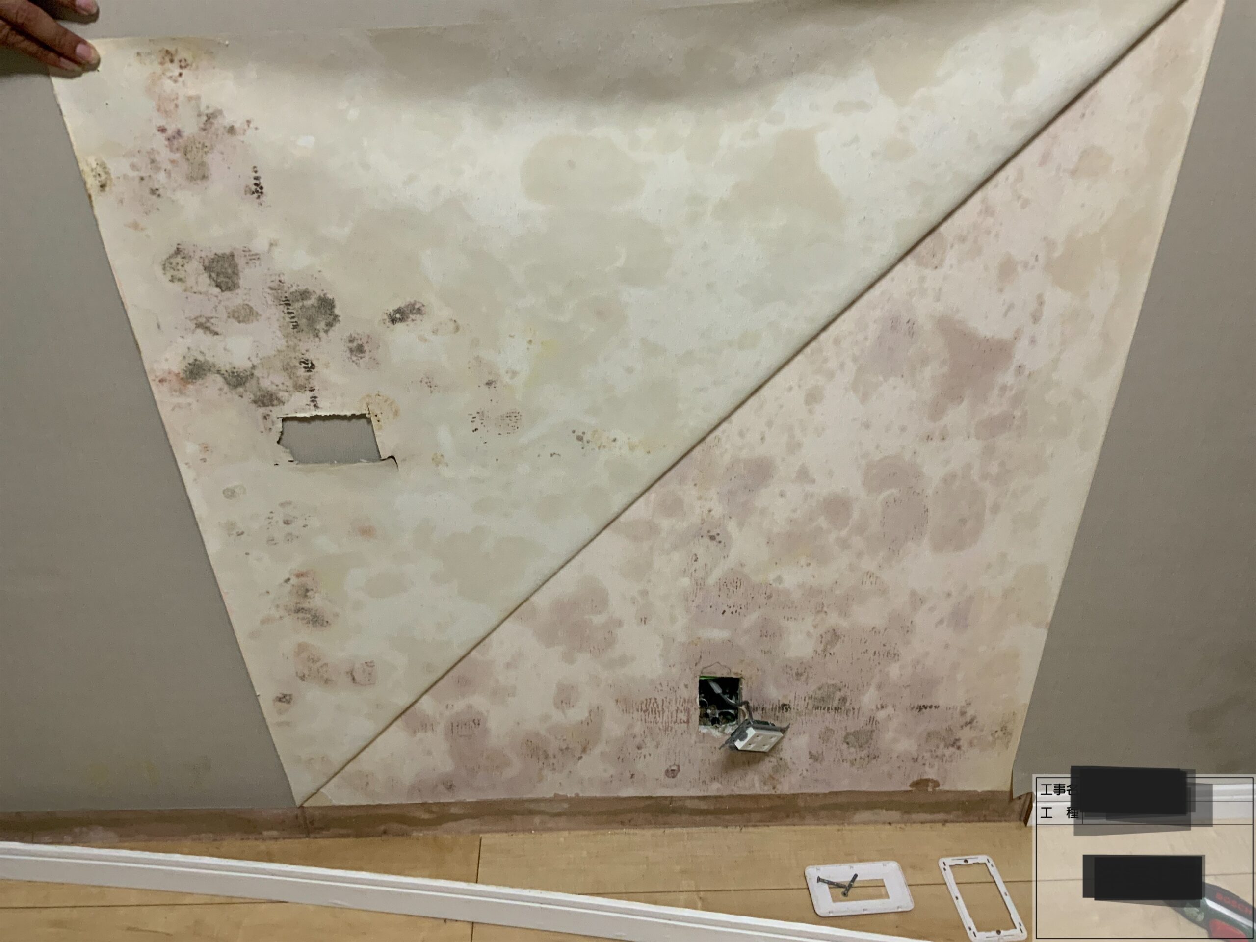 セルロースファイバー壁のカビ