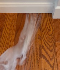 床下の空気流入